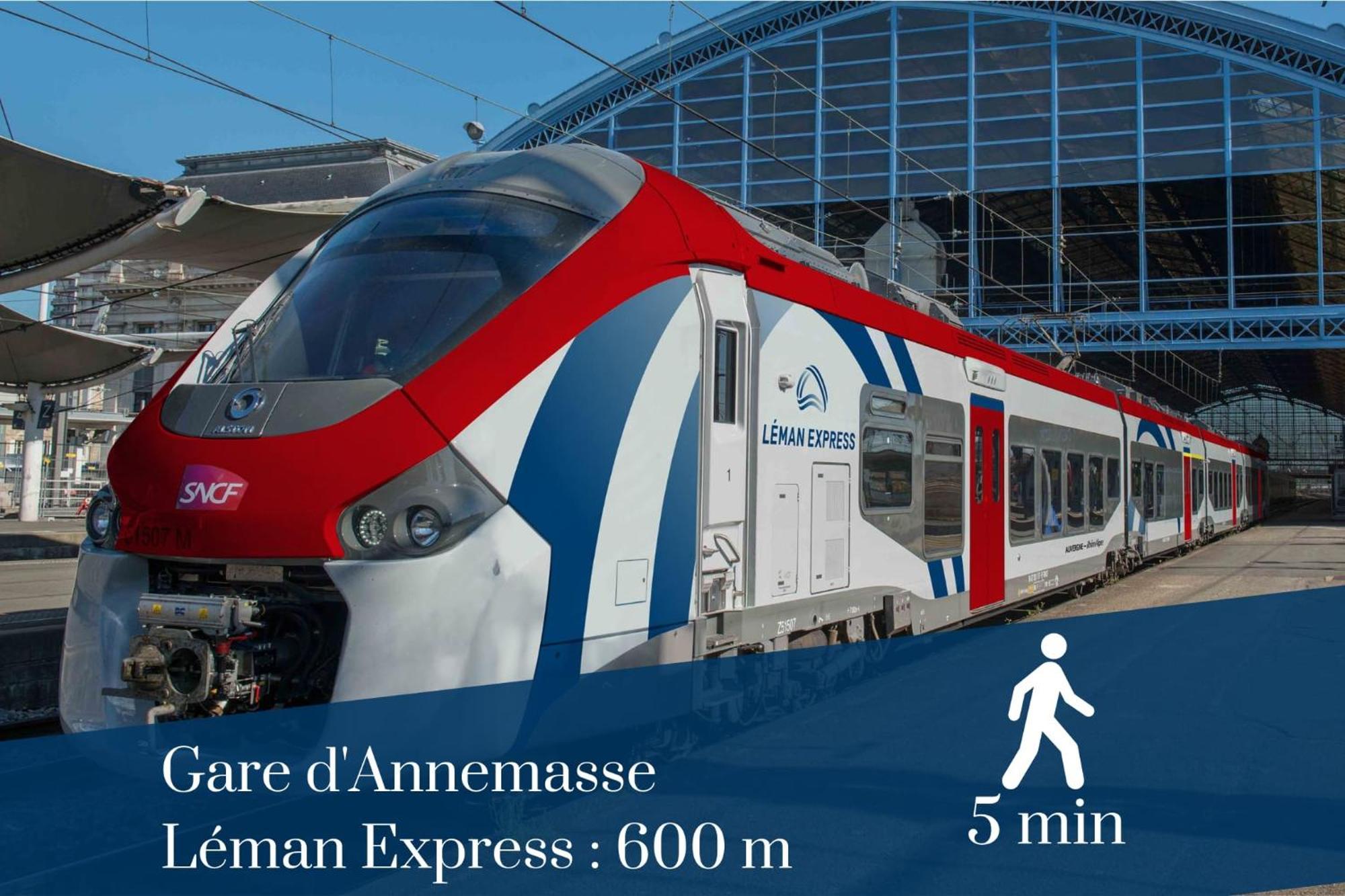 Homey Forest - Hypercentre - Proche Gare Et Tram - Wifi & Netflix Annemasse Exterior foto